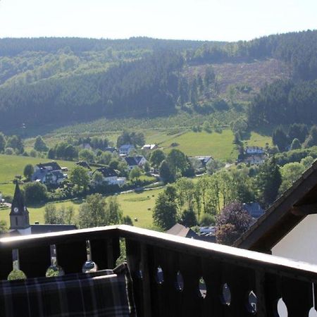 Ferienwohnung Frieda Mit Ueberdachtem Balkon Winterberg Exterior foto